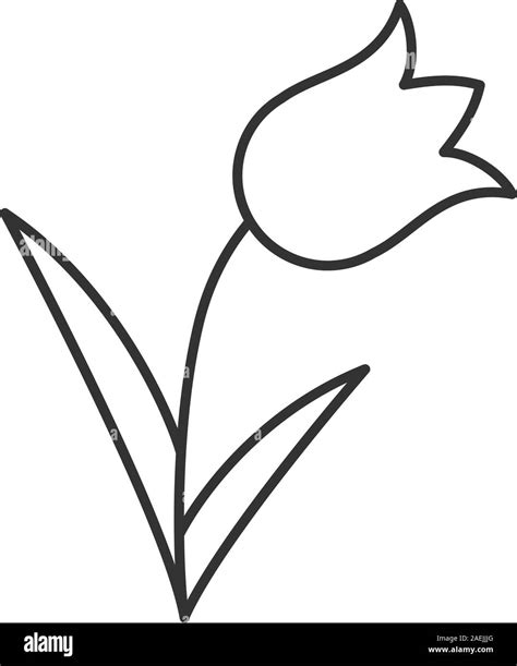 tulip outline|Tulip outline